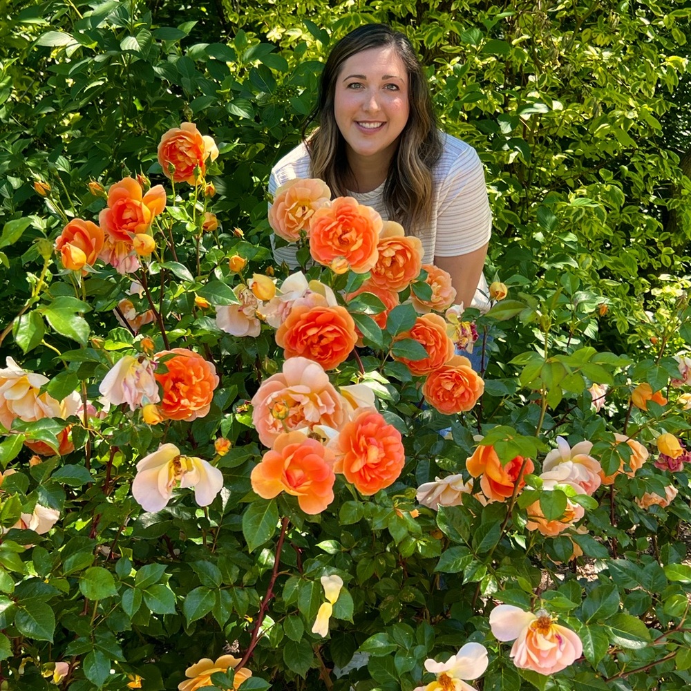 Meet your Posher, Stephanie